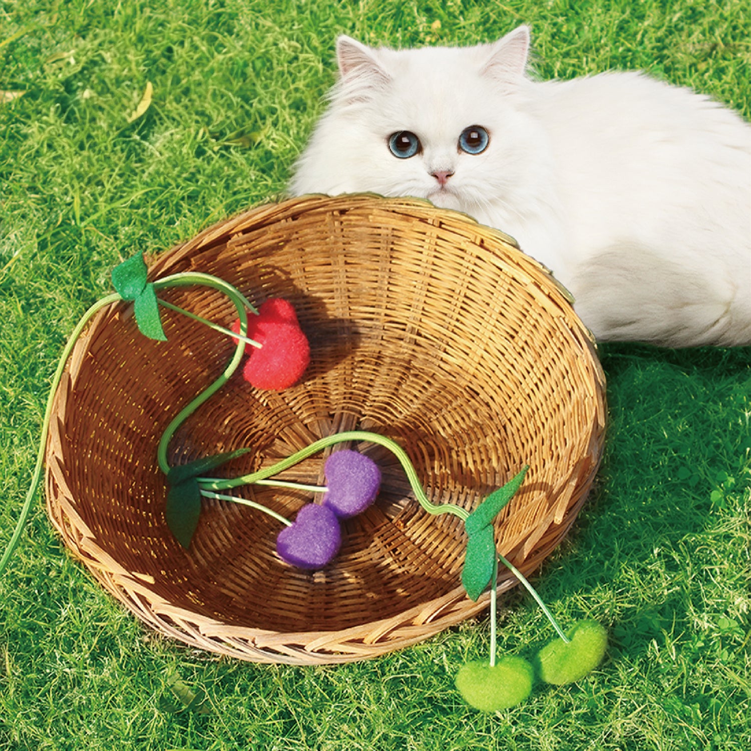 Interactive Cat Teaser Wand Toy – Fun & Engaging