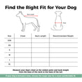 Load image into Gallery viewer, Cooling Four-Leg Dog Suit – UV Protection & Joint Cover
