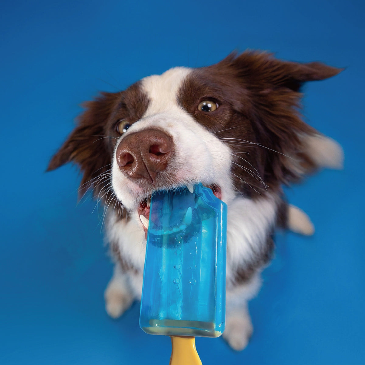 Ice Cream Dog Chew Toys | Summer Cooling Rubber Teething Toy