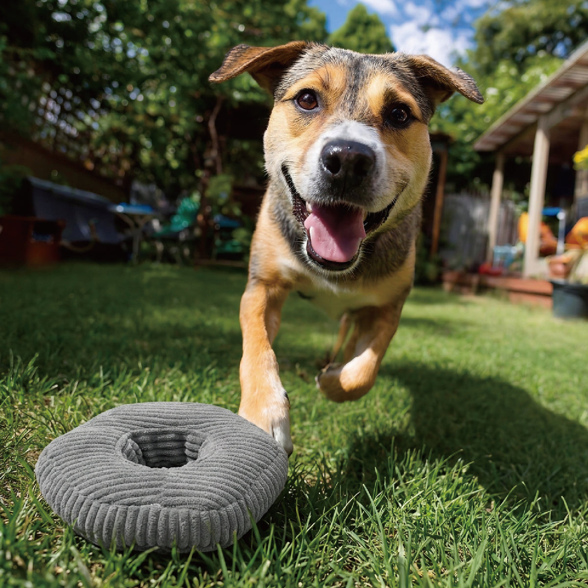 Hardware Squeaky Dog Toys | Wrench, Nut & Bolt Set for Small Dogs