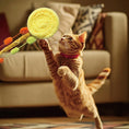 Load image into Gallery viewer, Cat Teaser Wand
