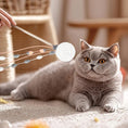 Load image into Gallery viewer, Cat Teaser Wand
