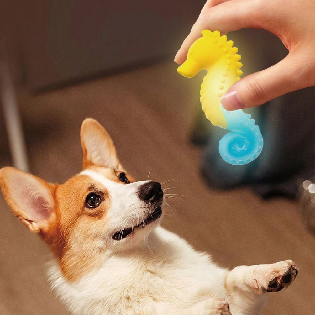 Ocean Glow Dog Toys | Floating Squeaky Fetch Toys for Water Play
