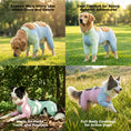 Load image into Gallery viewer, Cooling Four-Leg Dog Suit – UV Protection & Joint Cover
