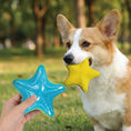 Load image into Gallery viewer, Ocean Glow Dog Toys | Floating Squeaky Fetch Toys for Water Play
