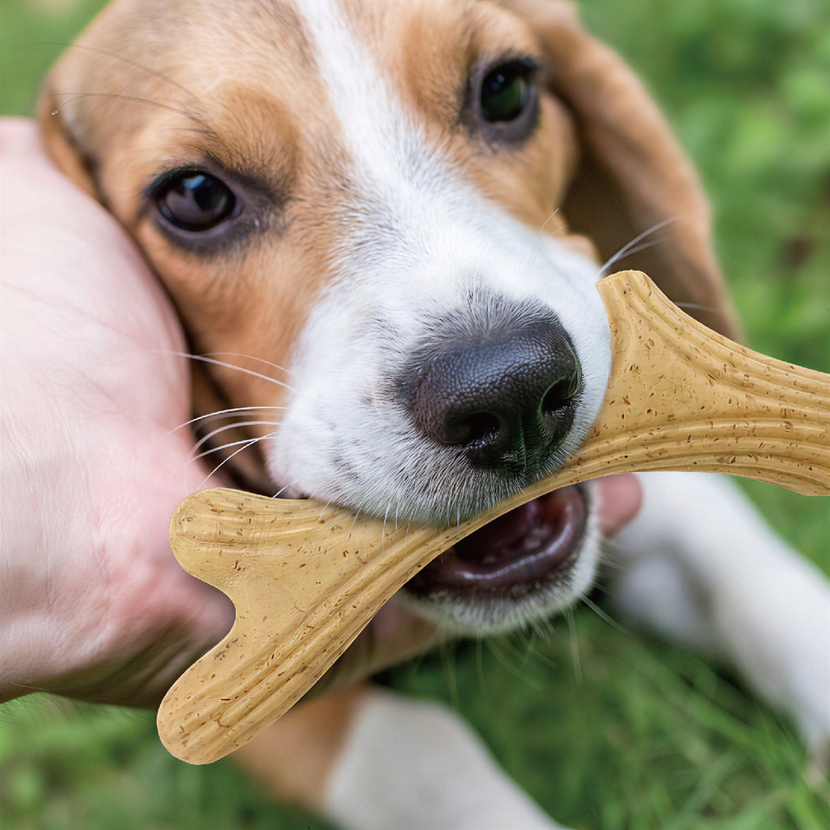 Natural Pine Wood Dog Chew Toys | Antler & Fish Shaped Durable Chew Sticks
