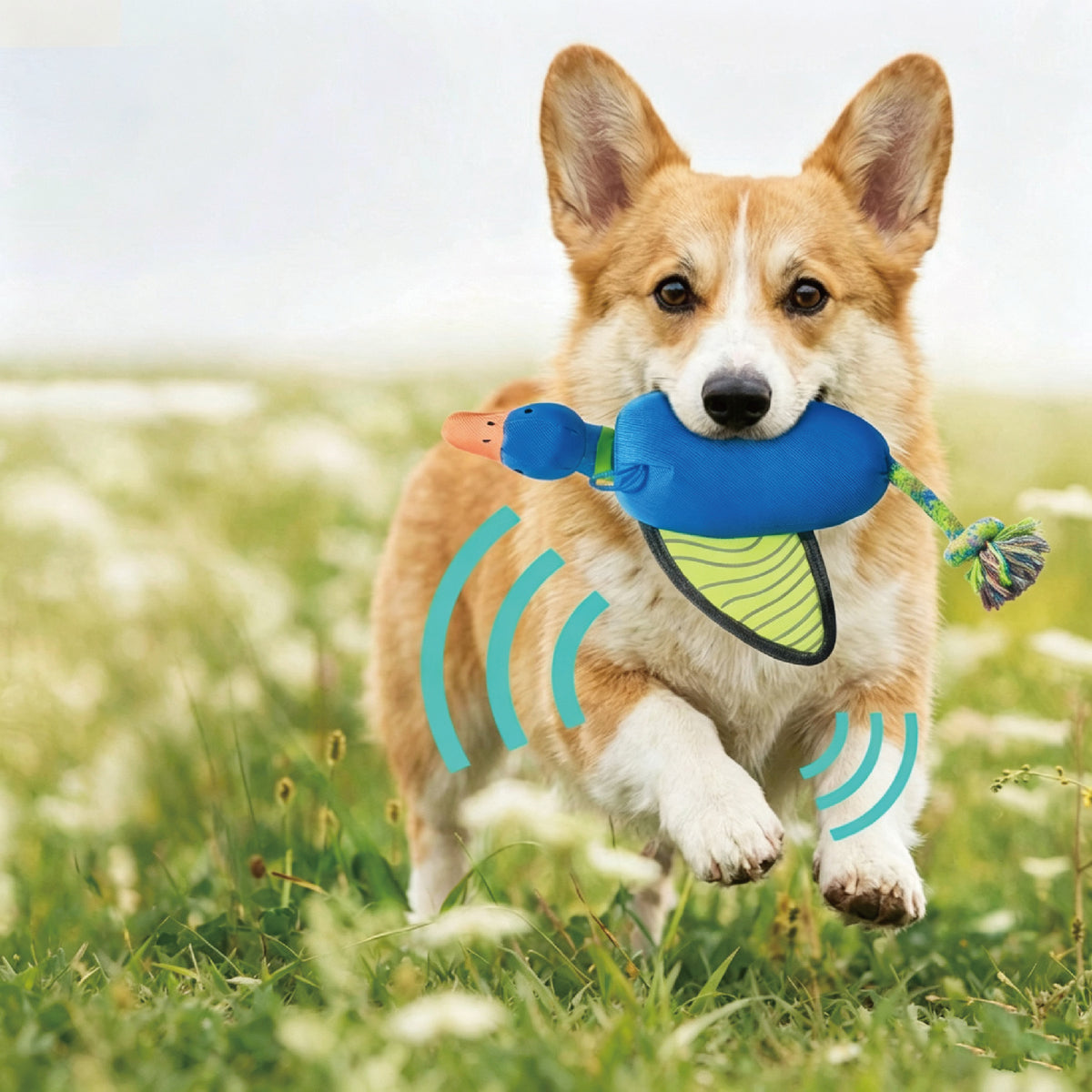 Interactive Launch & Fetch Dog Toy – Squeaky & Fun