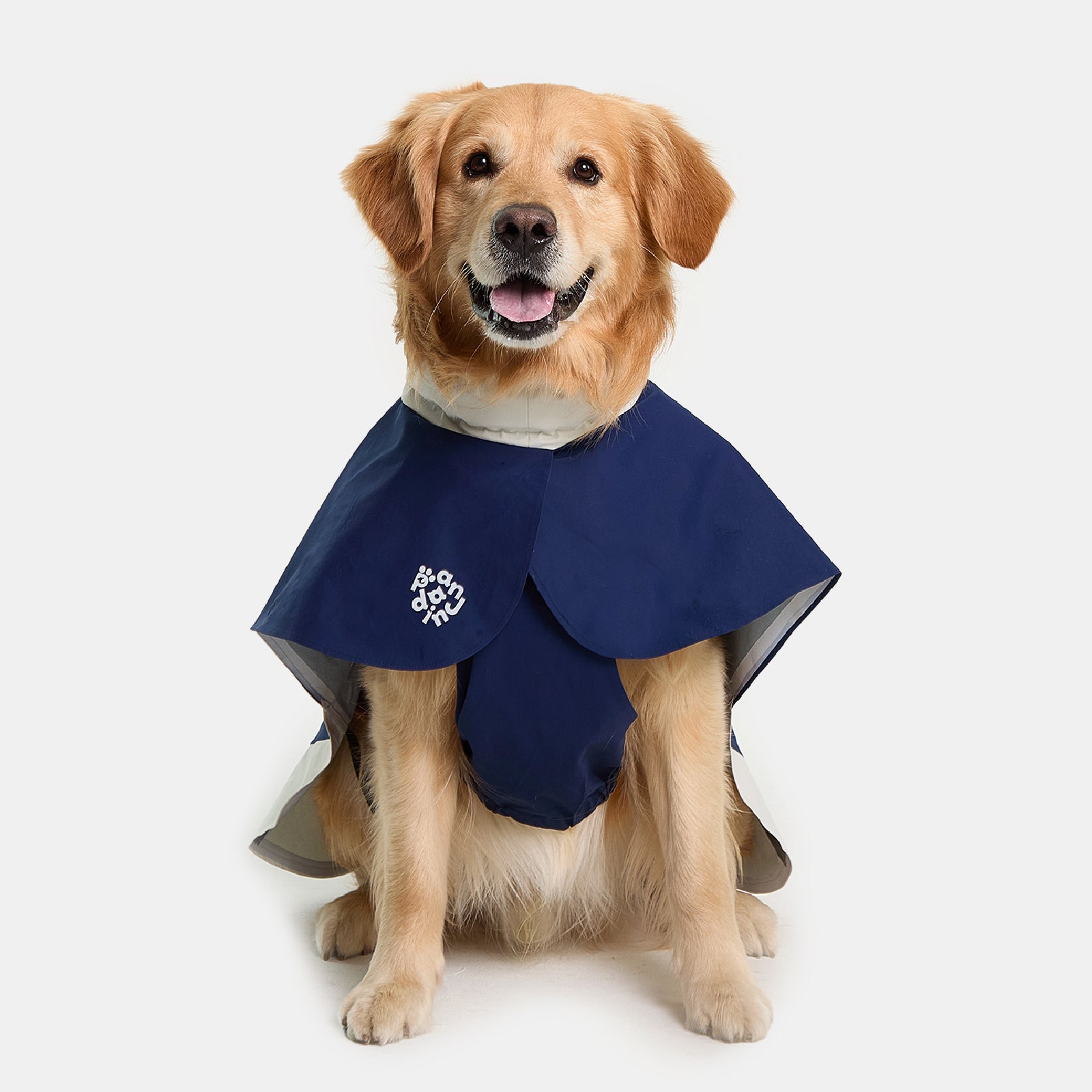 Ridge Dog Raincoat