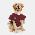 Load image into Gallery viewer, Canyon Dog Raincoat
