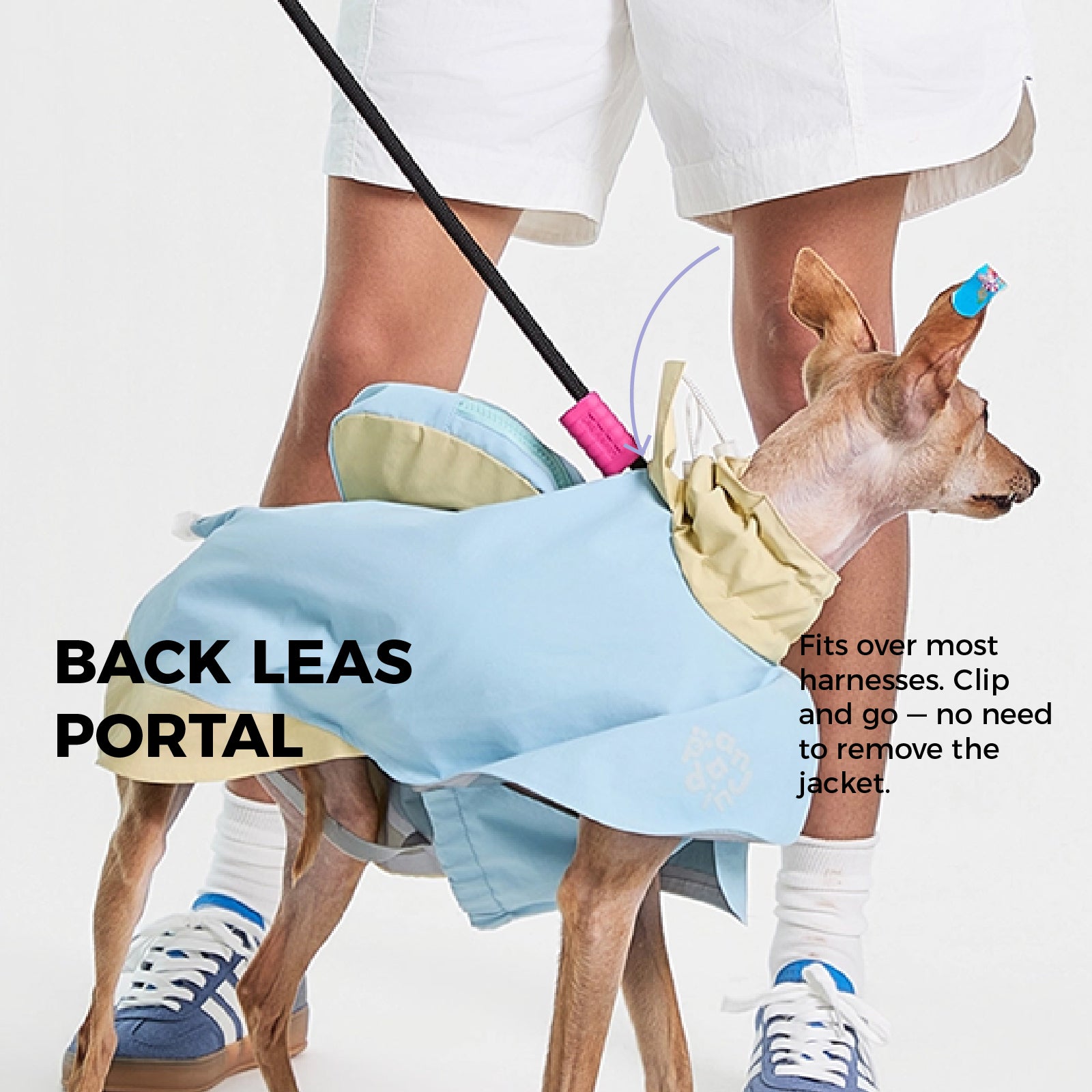 Sky Dog Raincoat