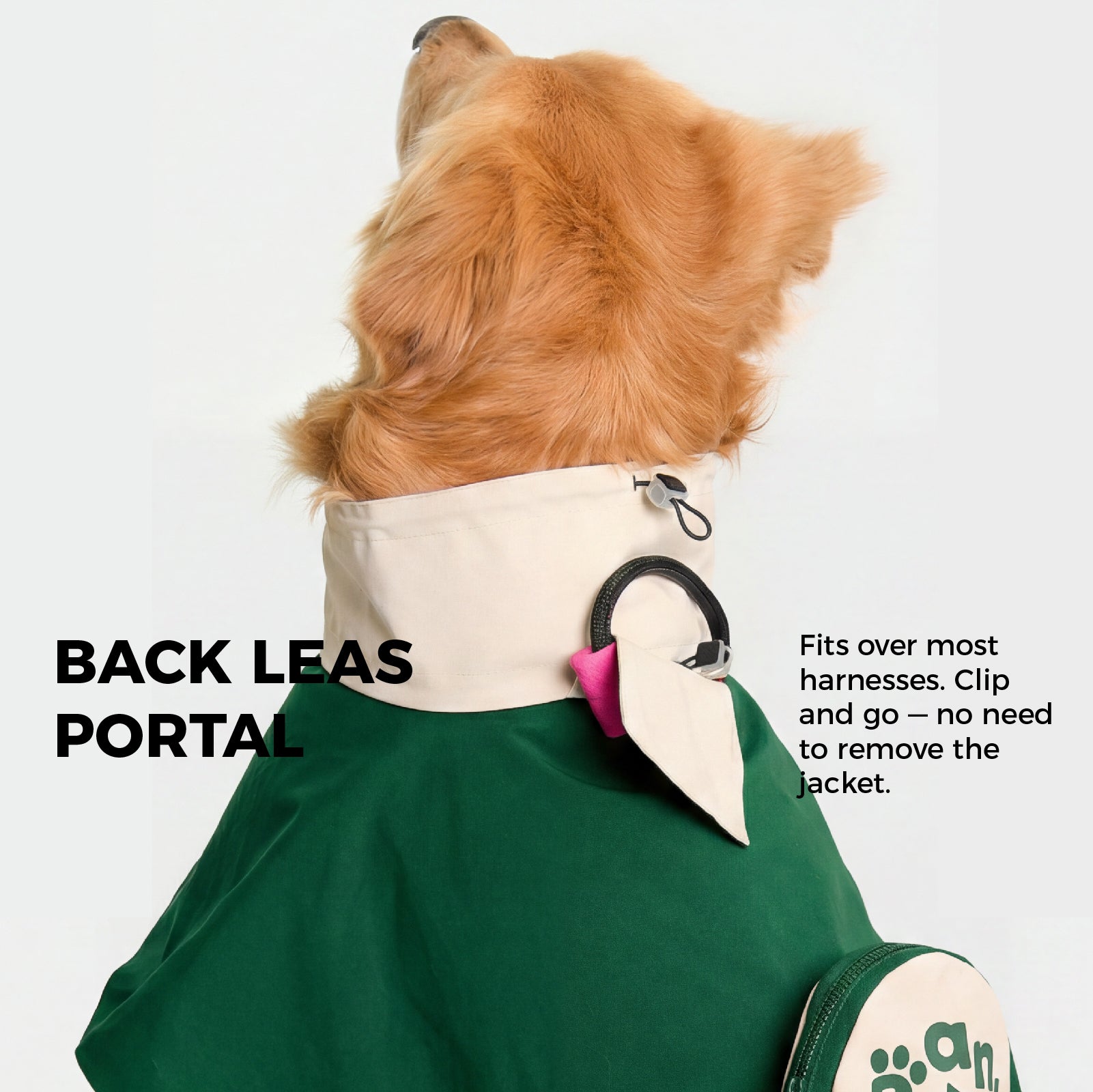 Timber Dog Raincoat