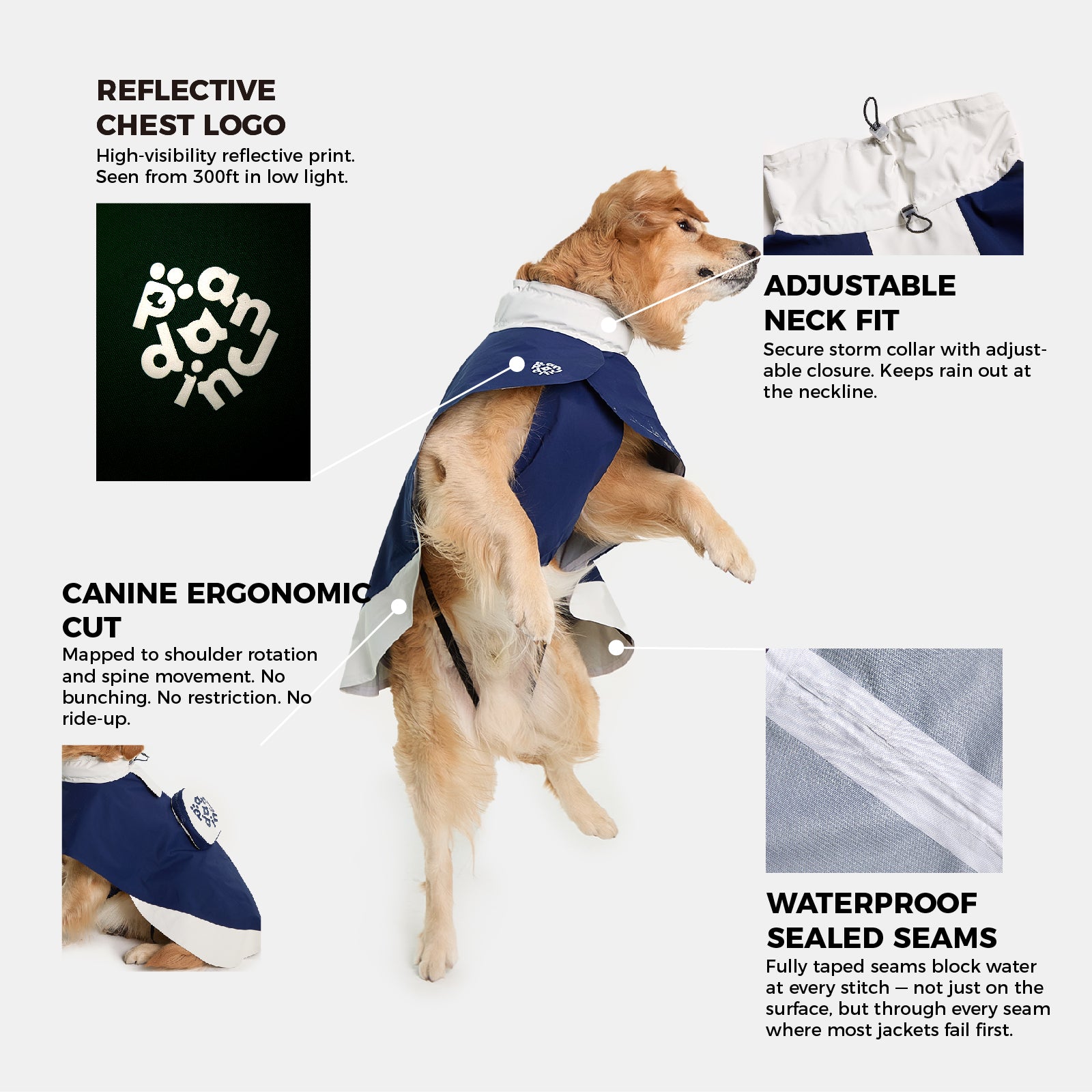 Ridge Dog Raincoat