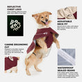 Load image into Gallery viewer, Canyon Dog Raincoat
