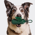 Load image into Gallery viewer, Biodegradable Dog Poop Bags
