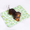 Load image into Gallery viewer, Summer Cooling Mat for Dogs & Cats
