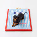 Load image into Gallery viewer, Summer Cooling Mat for Dogs & Cats
