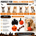 Load image into Gallery viewer, Halloween Rope Spider Dog Toy – Chew & Treat Toy
