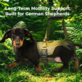 Load image into Gallery viewer, Dog Rear Leg Lift Support Harness
