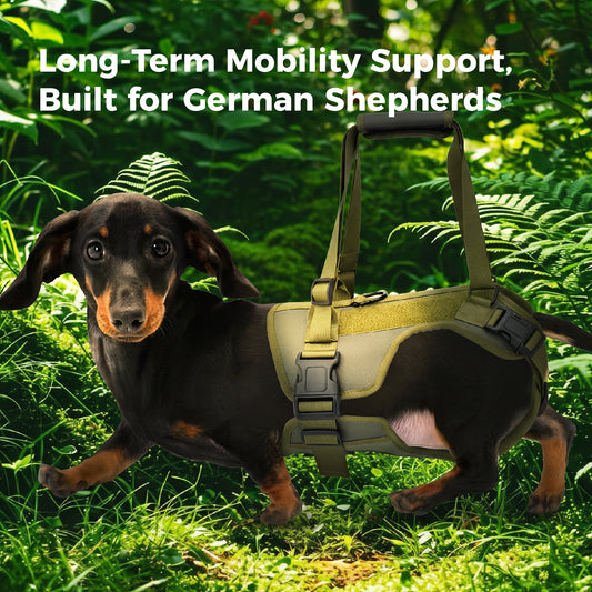 Dog Rear Leg Lift Support Harness