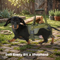Load image into Gallery viewer, Dog Rear Leg Lift Support Harness
