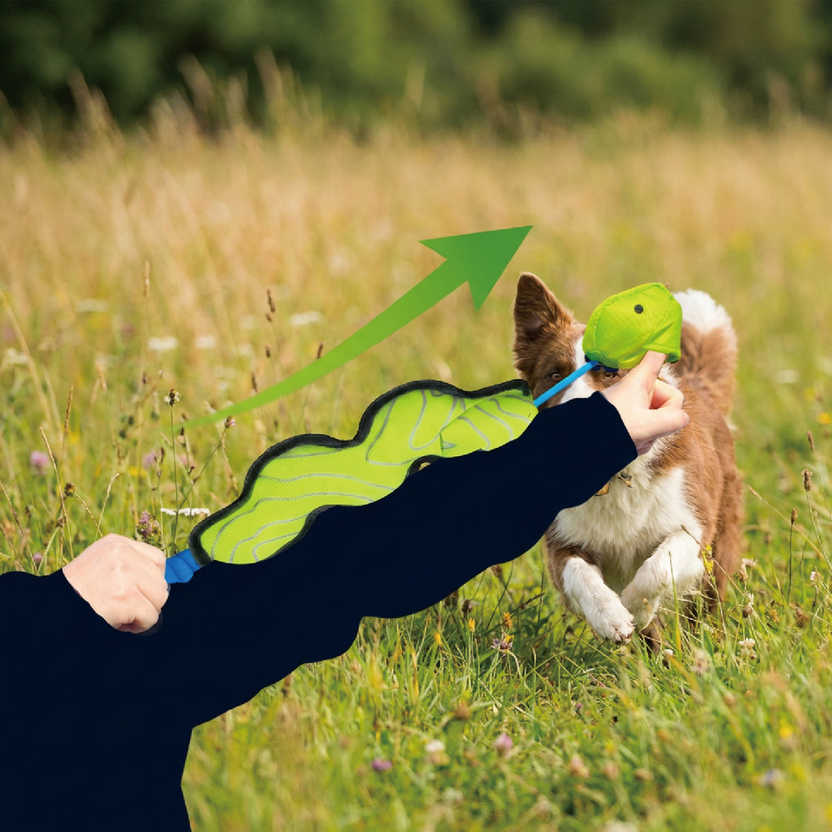 Interactive Launch & Fetch Dog Toy – Squeaky & Fun