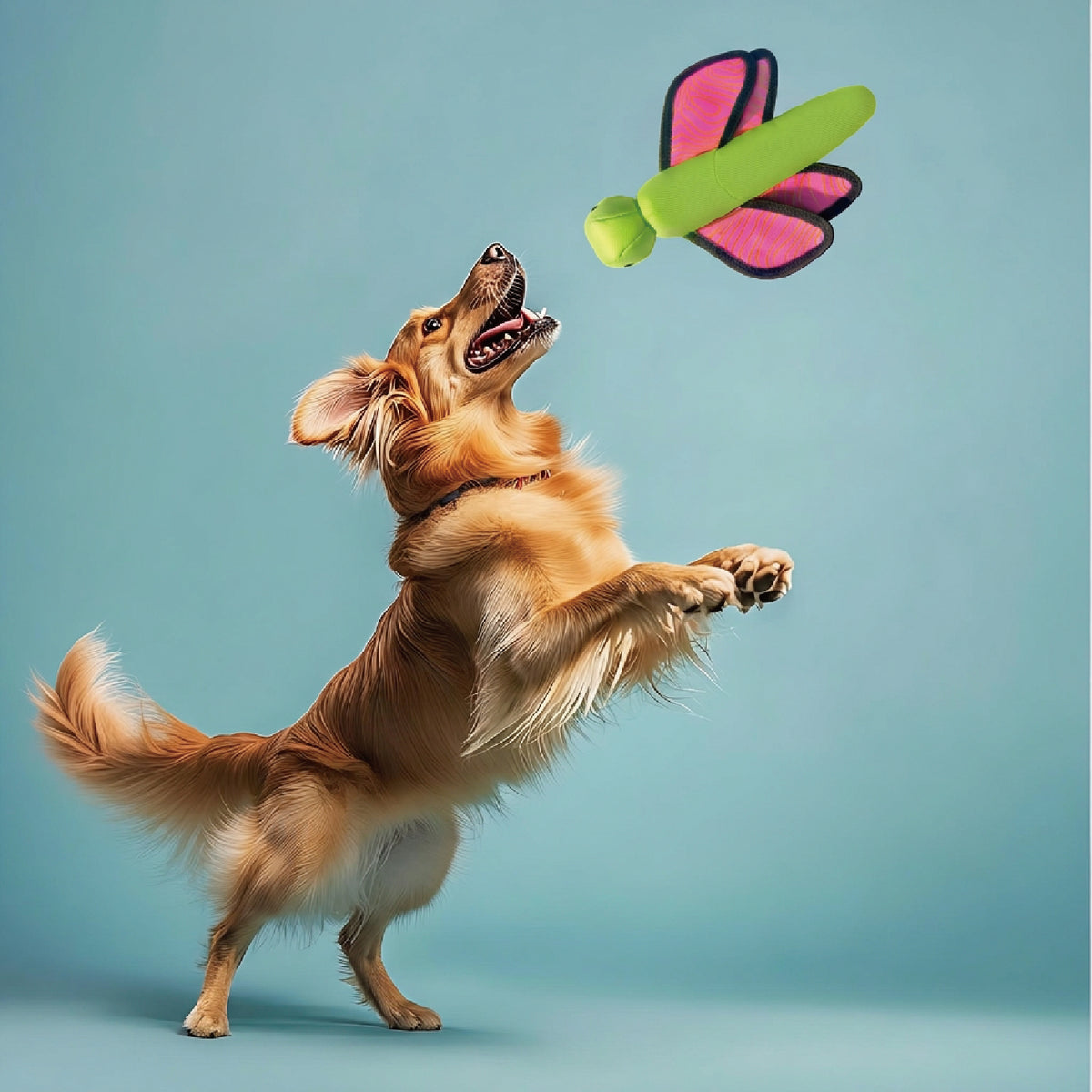 Interactive Launch & Fetch Dog Toy – Squeaky & Fun