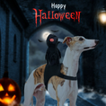 Load image into Gallery viewer, Halloween Dark Knight Costume for Dogs & Cats
