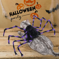Load image into Gallery viewer, Halloween Giant Spider Costume for Dogs & Cats
