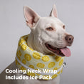 Load image into Gallery viewer, Dog Cooling Bandana – Instant Chill Wrap for Summer
