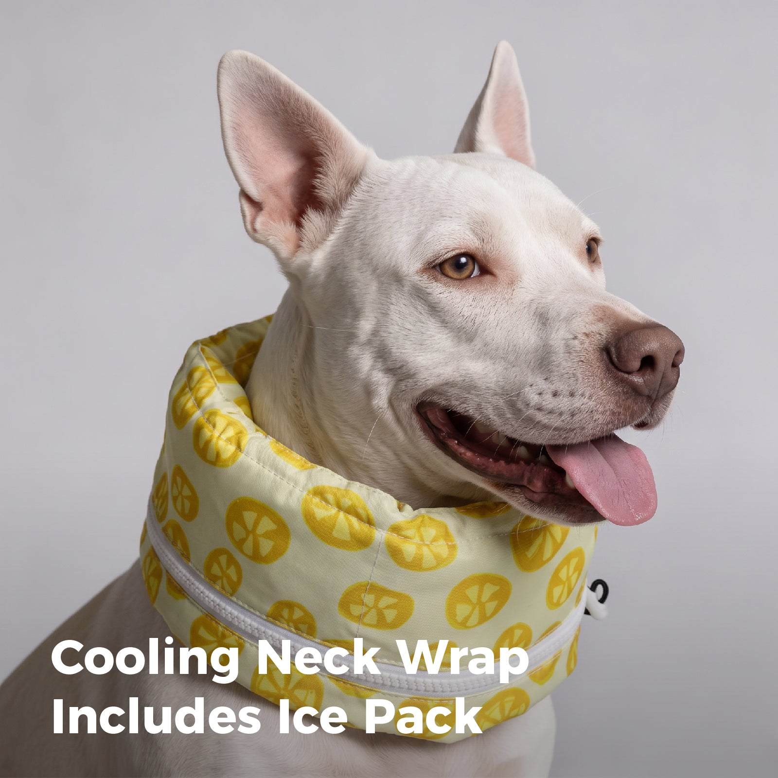 Dog Cooling Bandana – Instant Chill Wrap for Summer