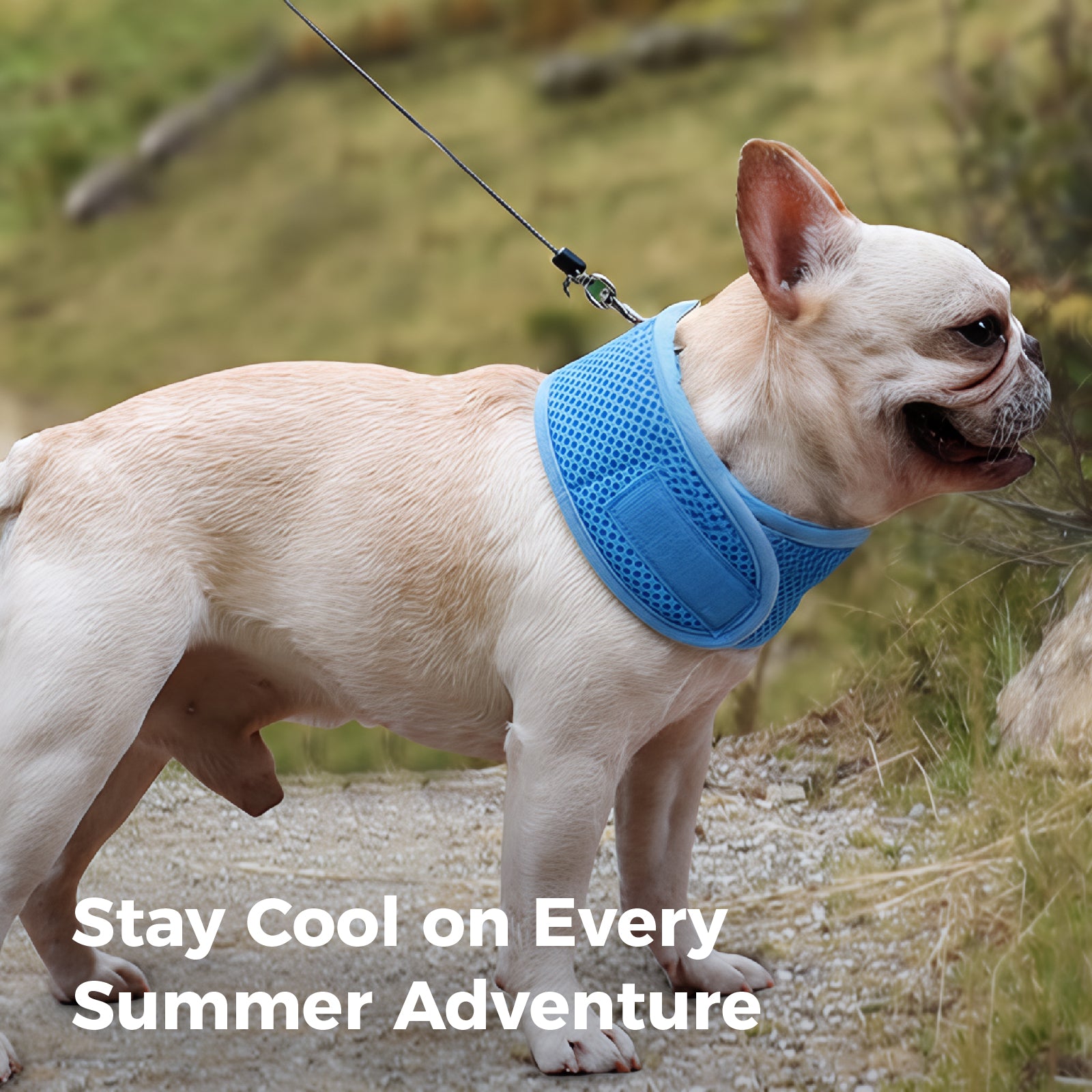 Dog Cooling Bandana – Instant Chill Wrap for Summer