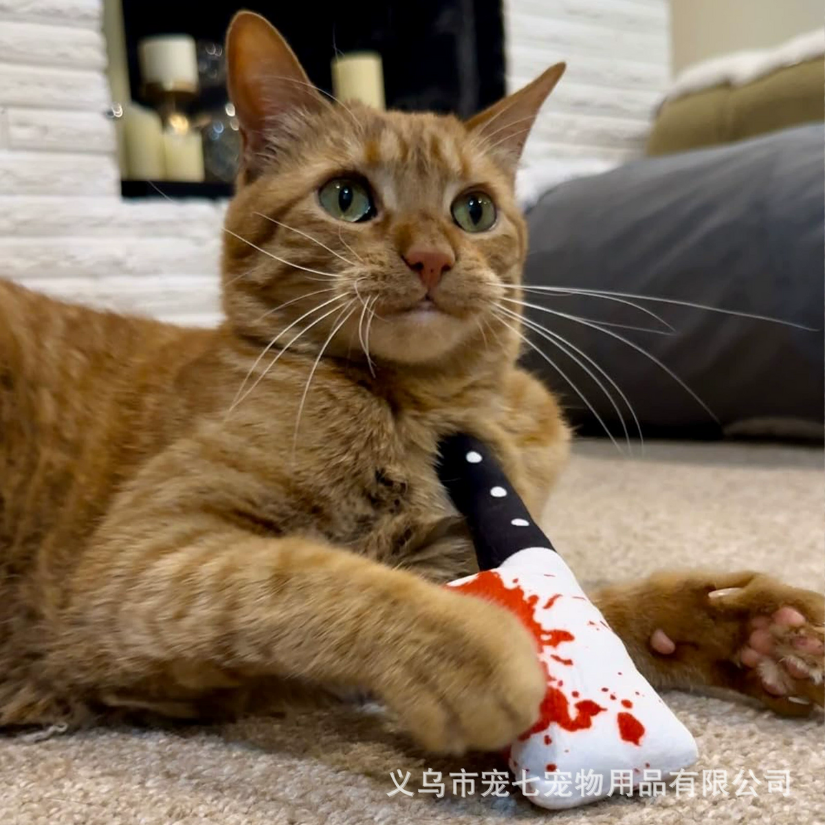 Halloween Cat & Dog Toy with Catnip – Fun & Interactive