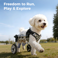 Load image into Gallery viewer, Adjustable 4/2-Wheel Full-Support Dog Wheelchair for Small Dogs
