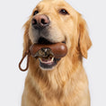 Load image into Gallery viewer, Biodegradable Dog Poop Bags
