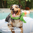 Load image into Gallery viewer, Dog Cooling Bandana – Instant Chill Wrap for Summer
