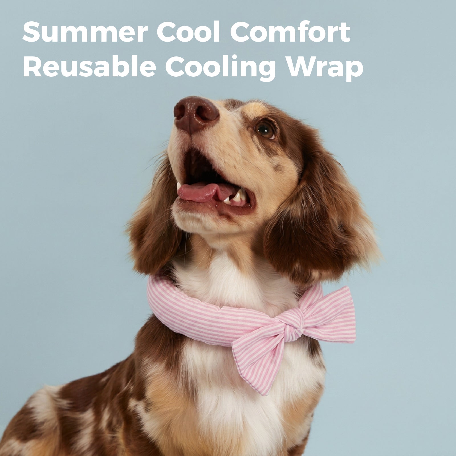 Dog Cooling Bandana – Instant Chill Wrap for Summer
