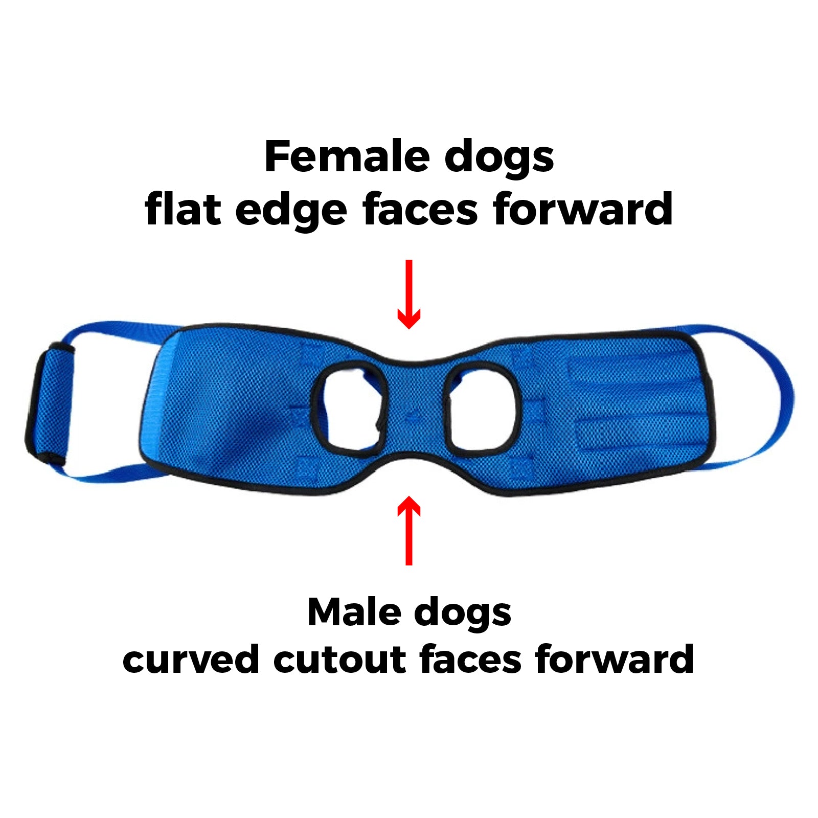Dog Hind Leg Lift Harness