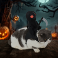Load image into Gallery viewer, Halloween Dark Knight Costume for Dogs & Cats
