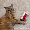 Load image into Gallery viewer, Halloween Cat & Dog Toy with Catnip – Fun & Interactive
