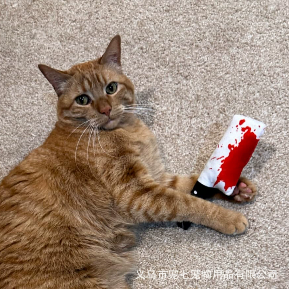 Halloween Cat & Dog Toy with Catnip – Fun & Interactive