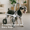 Load image into Gallery viewer, Adjustable 4/2-Wheel Full-Support Dog Wheelchair for Small Dogs
