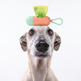 Load image into Gallery viewer, Biodegradable Dog Poop Bags
