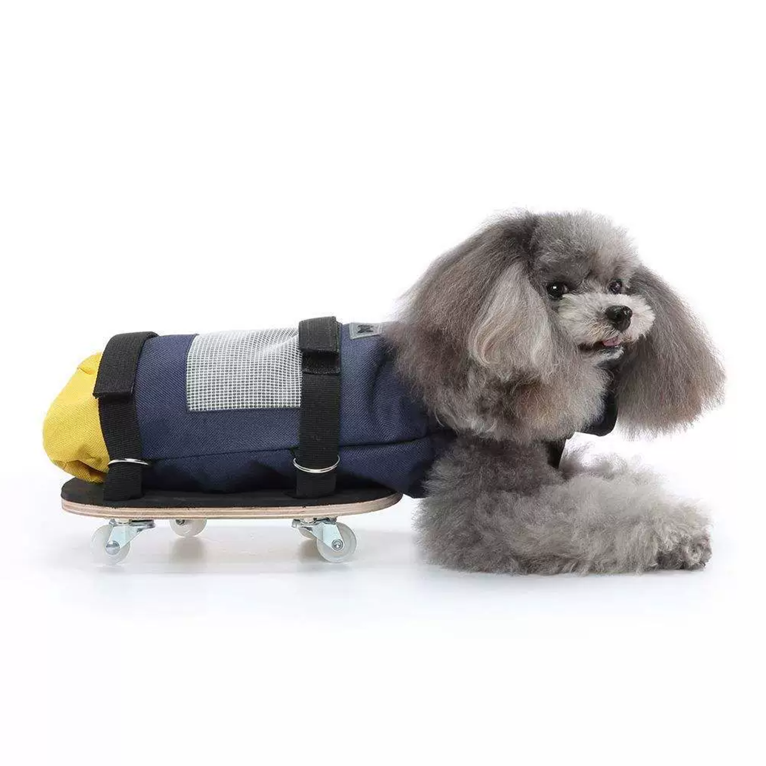 indoor drag bag with wheels