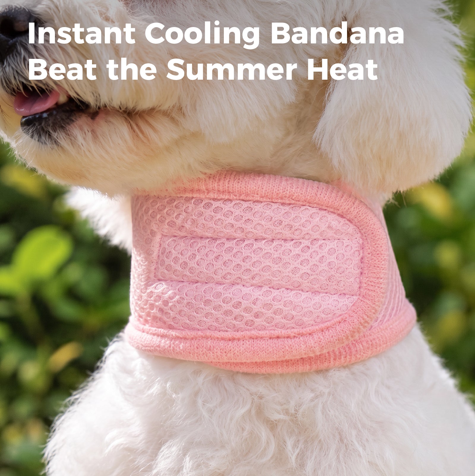 Dog Cooling Bandana – Instant Chill Wrap for Summer