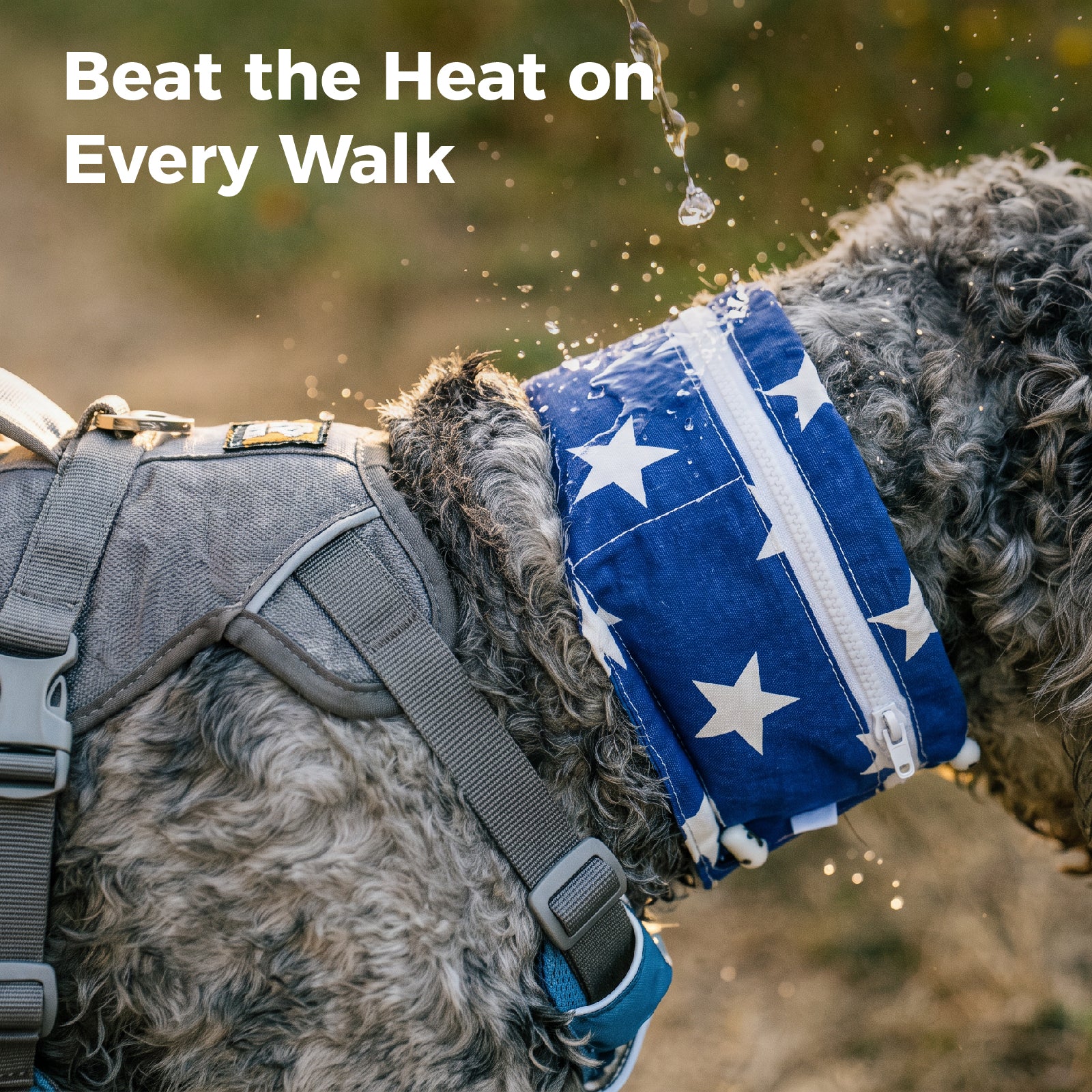 Dog Cooling Bandana – Instant Chill Wrap for Summer