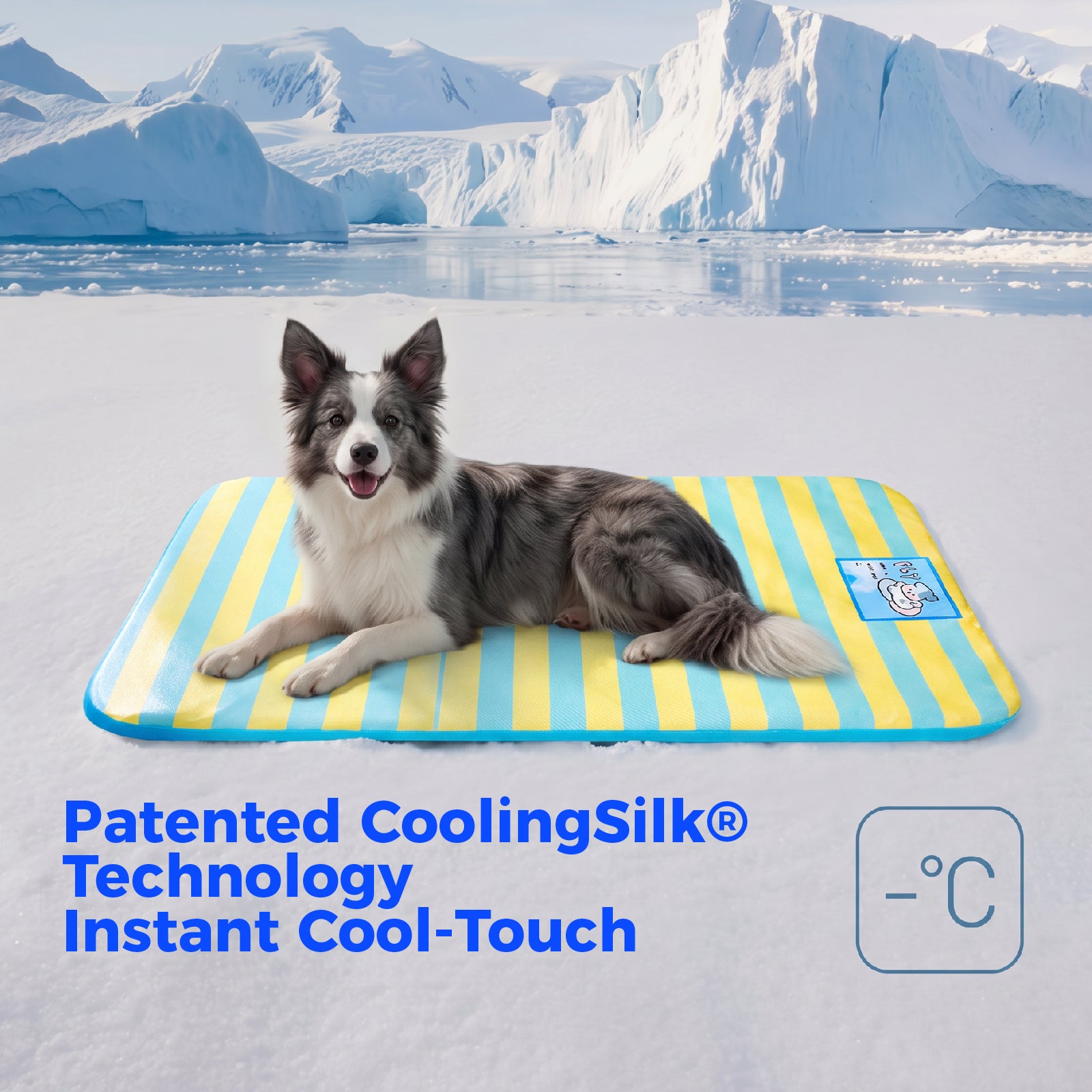 Summer Cooling Mat for Dogs & Cats