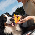 Load image into Gallery viewer, Biodegradable Dog Poop Bags
