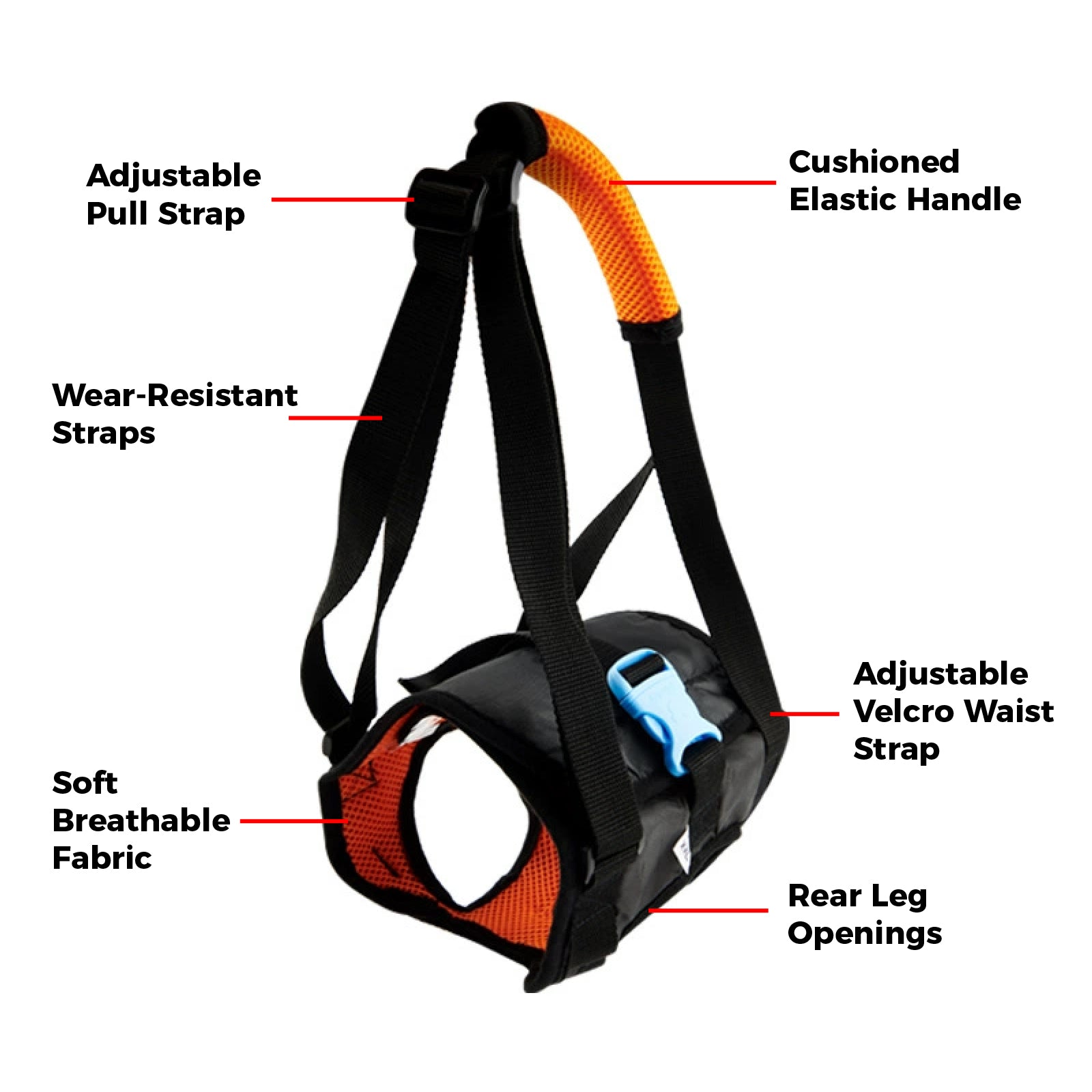 Dog Hind Leg Lift Harness