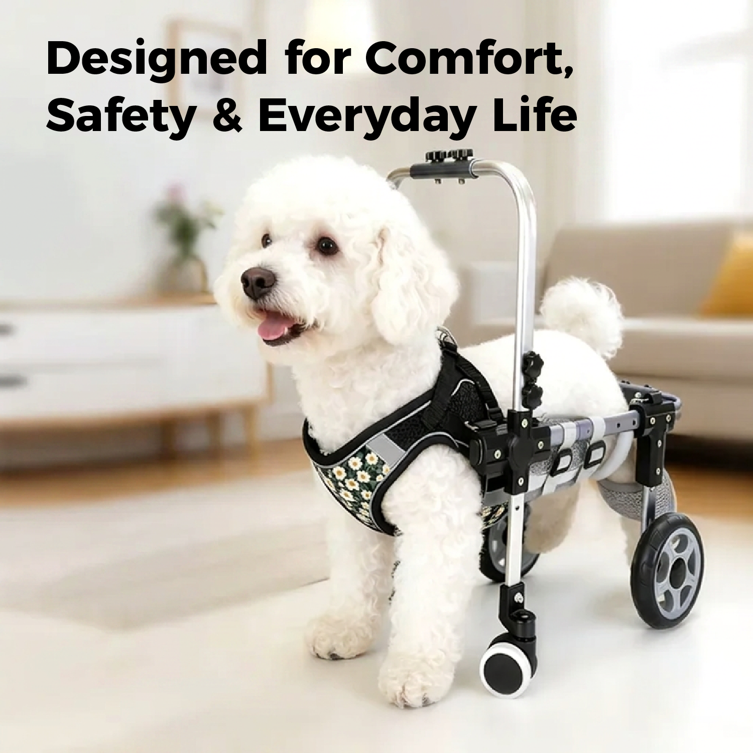 Adjustable 4/2-Wheel Full-Support Dog Wheelchair for Small Dogs