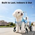 Load image into Gallery viewer, Adjustable 4/2-Wheel Full-Support Dog Wheelchair for Small Dogs
